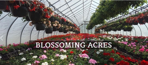 Blossoming Acres