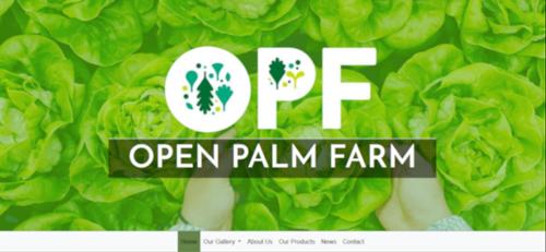 Open Palm Farm