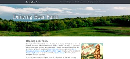Dancing Bear Farm